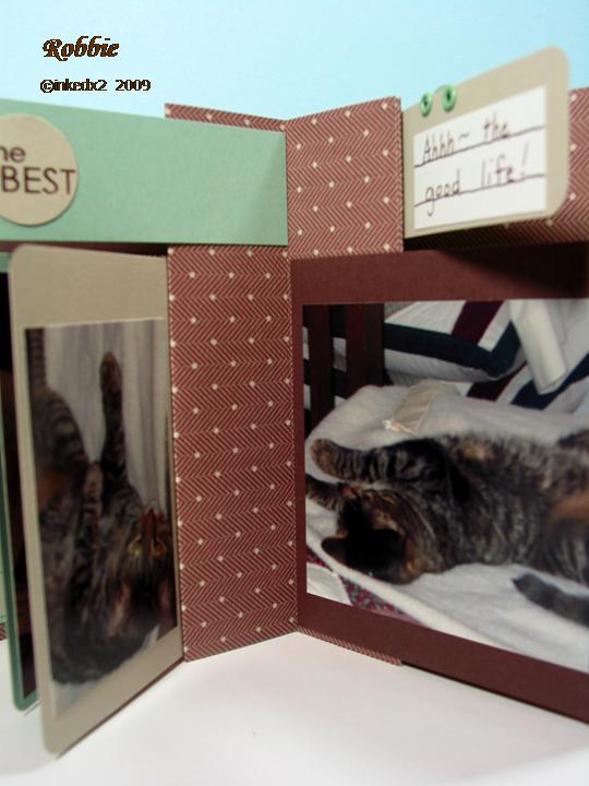 [11+-+13+-+09+pic+1.jpg]