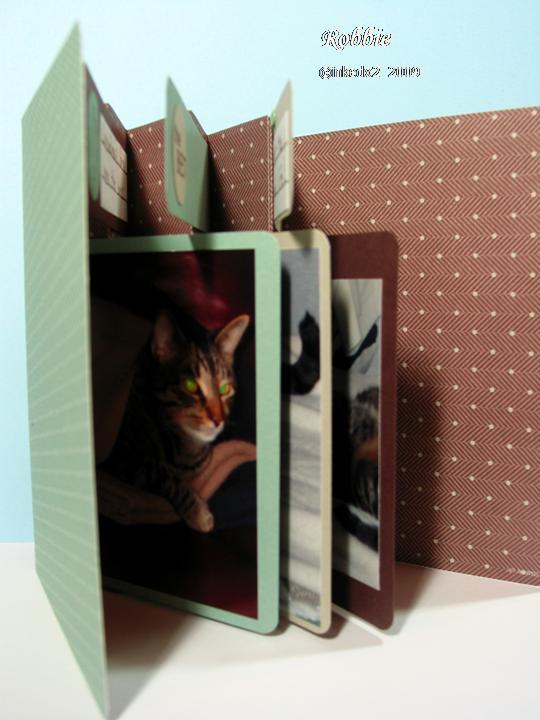 [11+-+14+-+09+pic+4.jpg]