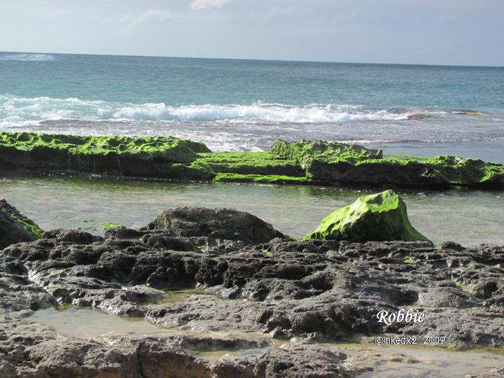 [HAWAII+DAY+13+PIC+10.jpg]