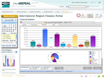 Reports page OneMerial(Intranet) Sample