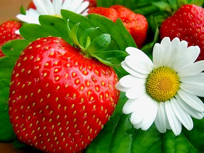 nature wallpaper kerala nature wallpaper kerala