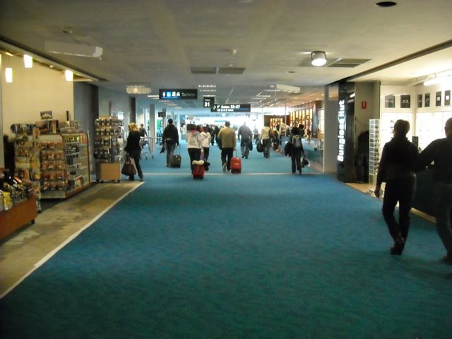 [DSCN0028.JPG]