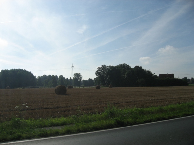 [IMG_1233small.JPG]