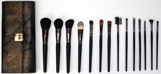 pro makeup brushes. Make-Up Brushes for Christmas!