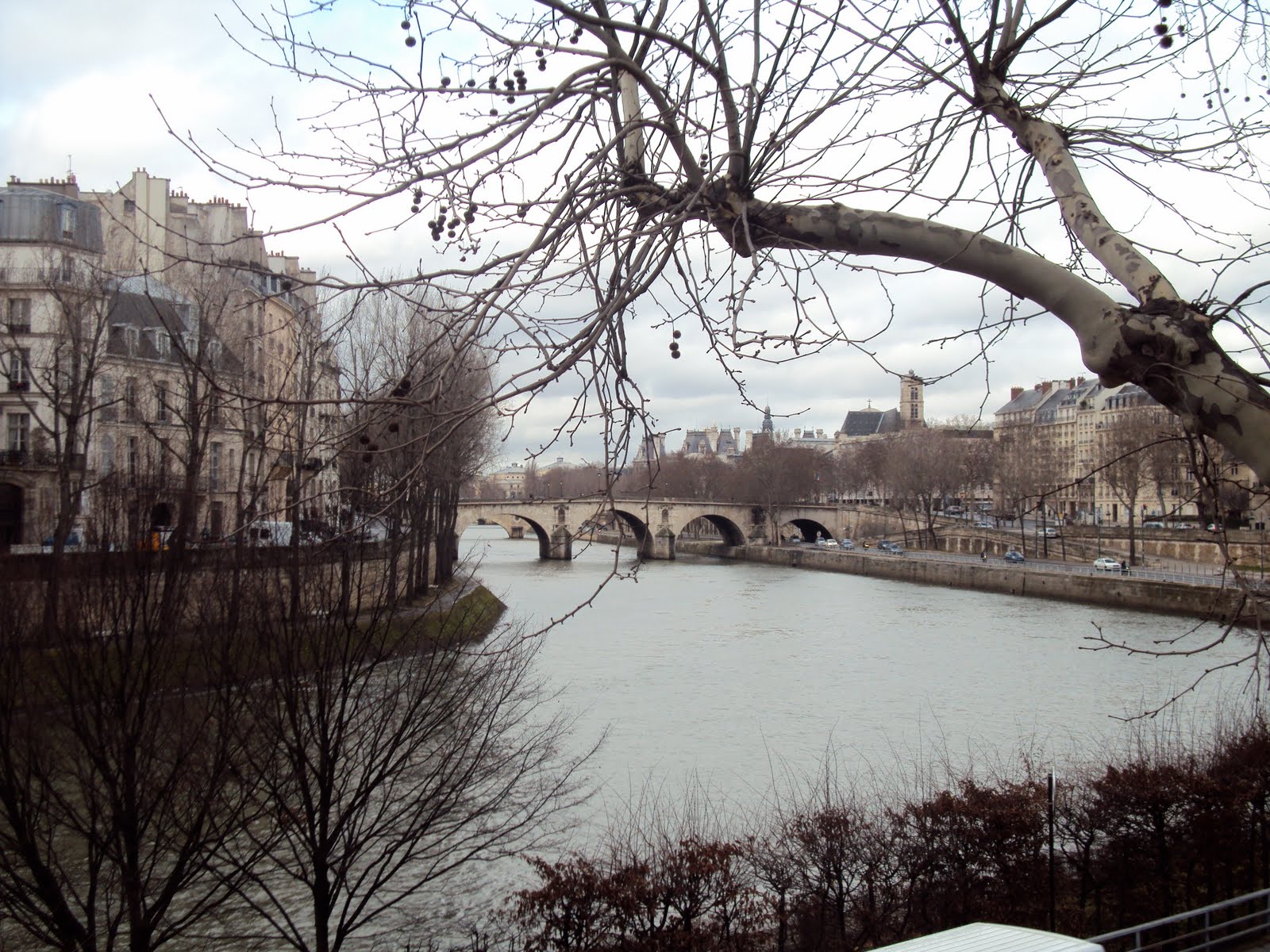 [DSC00653.JPG]