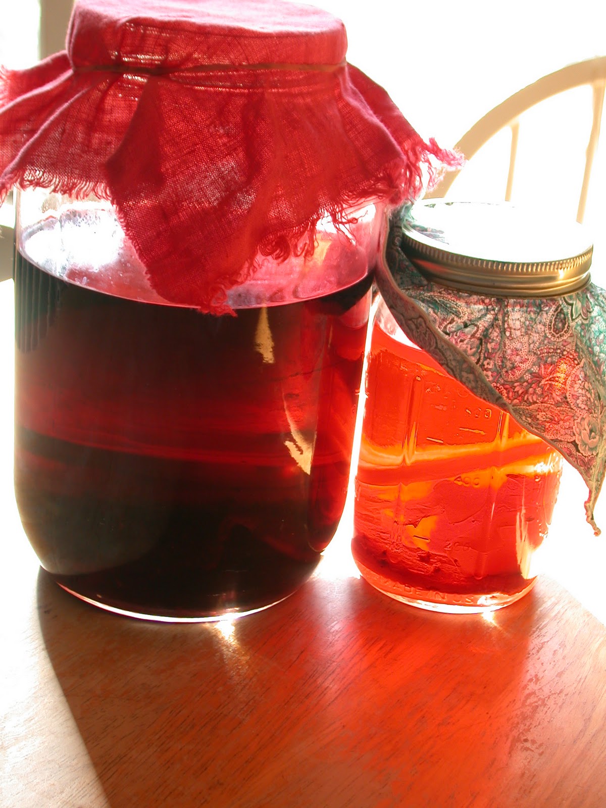 How to Make Vinegar From Scratch • a traditional life