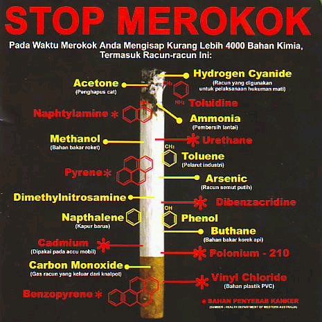 penyakit akibat rokok