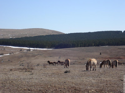 le Causse
