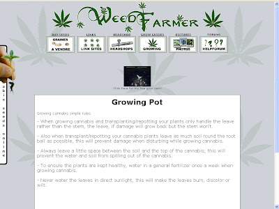 écran WeedFarmer