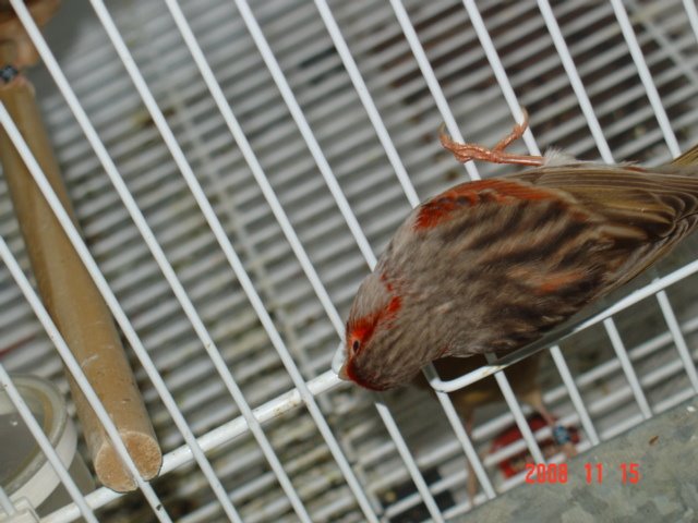 [DSC04855.JPG]