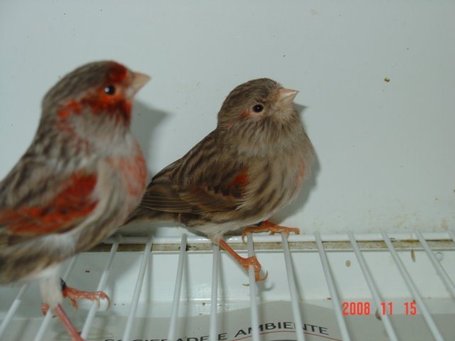 [DSC04844.JPG]