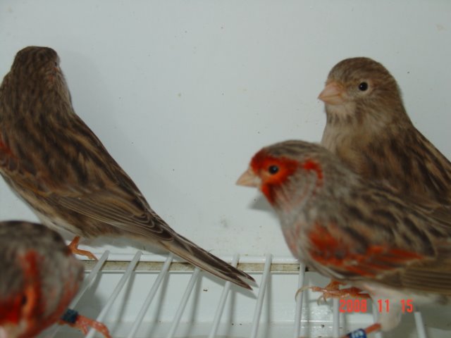 [DSC04846.JPG]