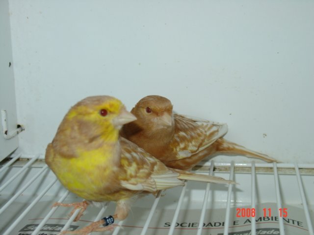 [DSC04816.JPG]
