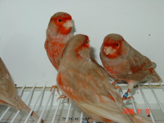 [DSC04877.JPG]