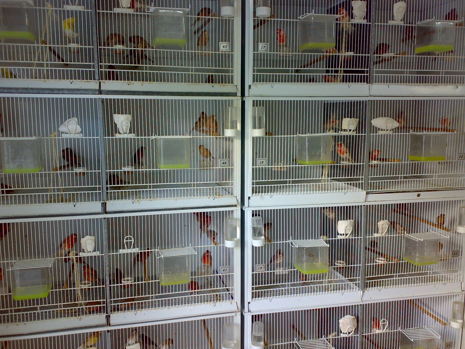 [06112008251.jpg]
