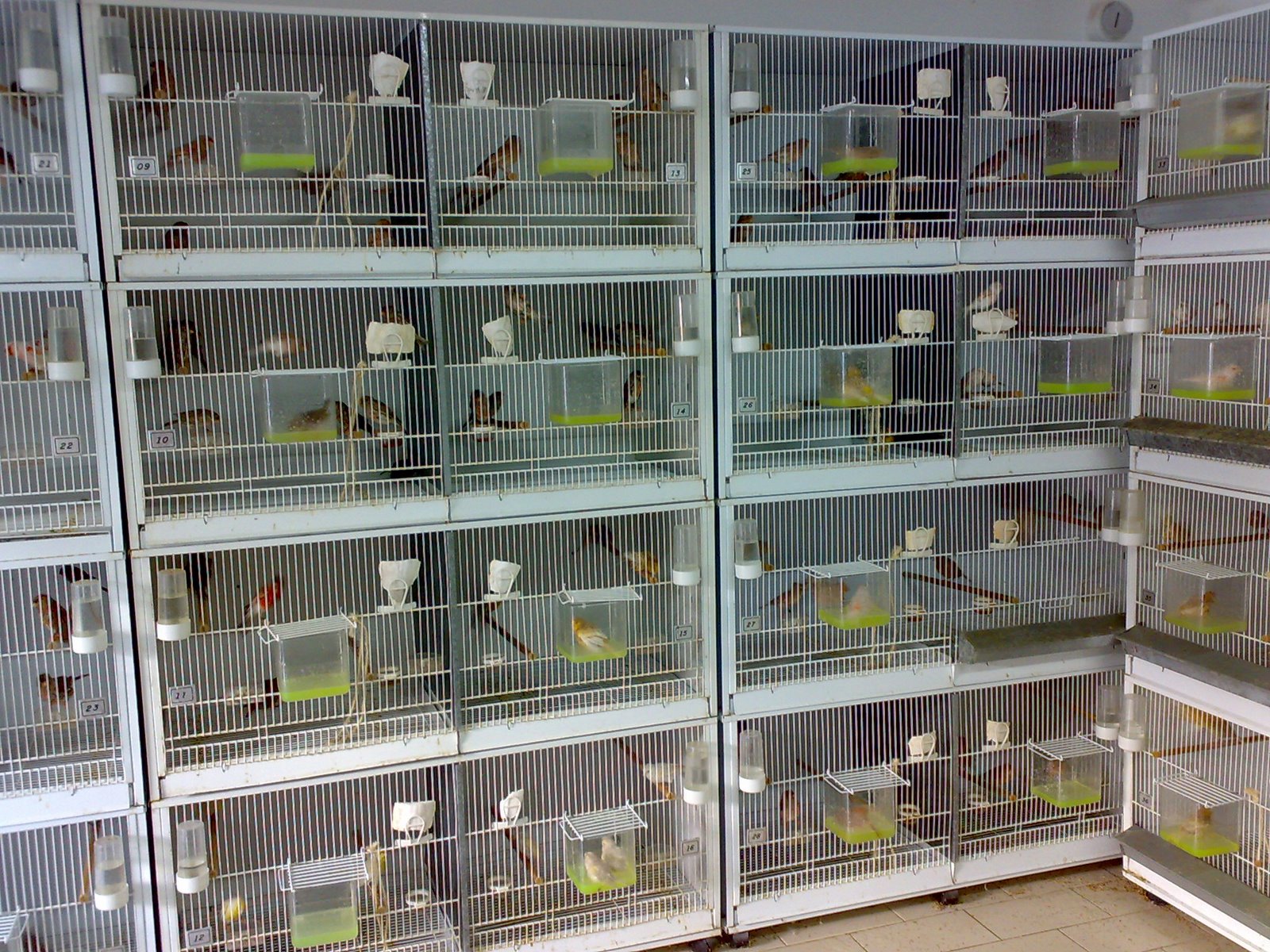 [06112008250.jpg]