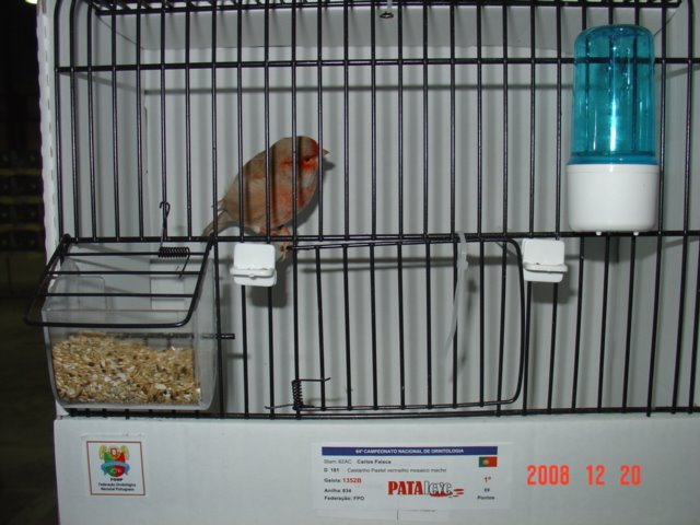 [DSC04967.JPG]