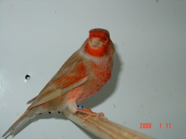 [DSC05046.JPG]