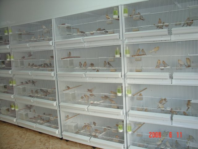 [DSC05623.JPG]
