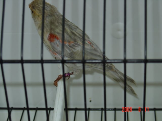 [DSC05633.JPG]