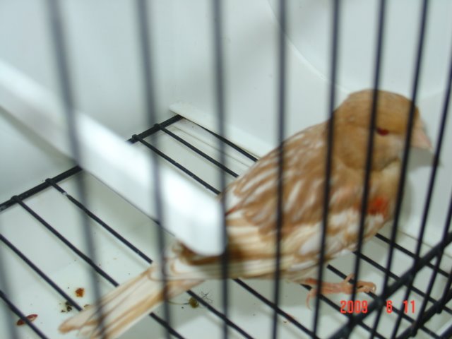 [DSC05649.JPG]