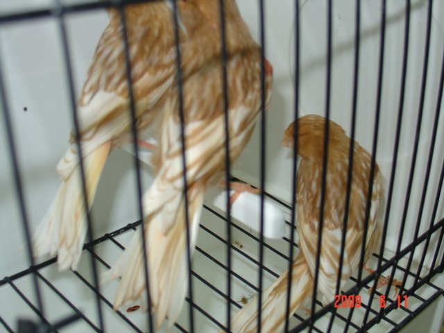 [DSC05650.JPG]