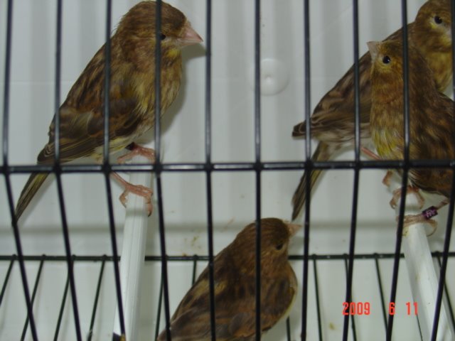 [DSC05689.JPG]