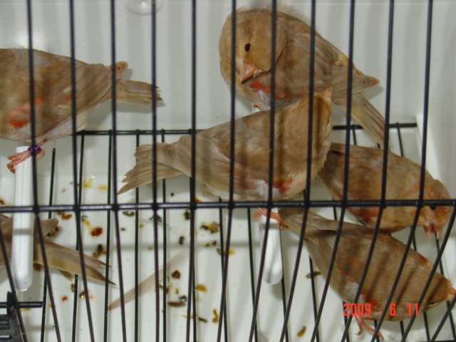 [DSC05671.JPG]