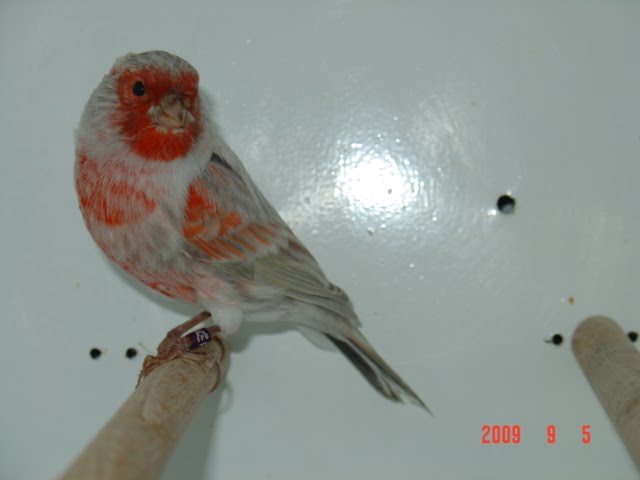[DSC05791.JPG]