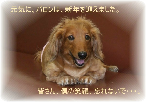 [205--01.JPG]