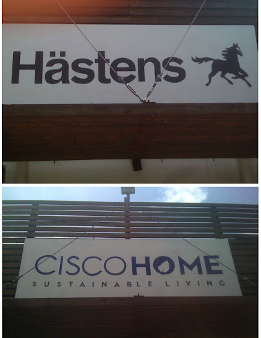 HASTENS & CISCO HOME