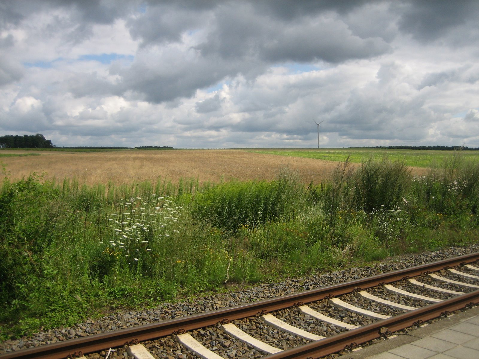 [IMG_4919.JPG]