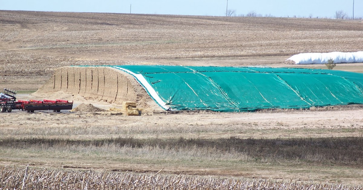 Secure Covers Pile of Great Silage