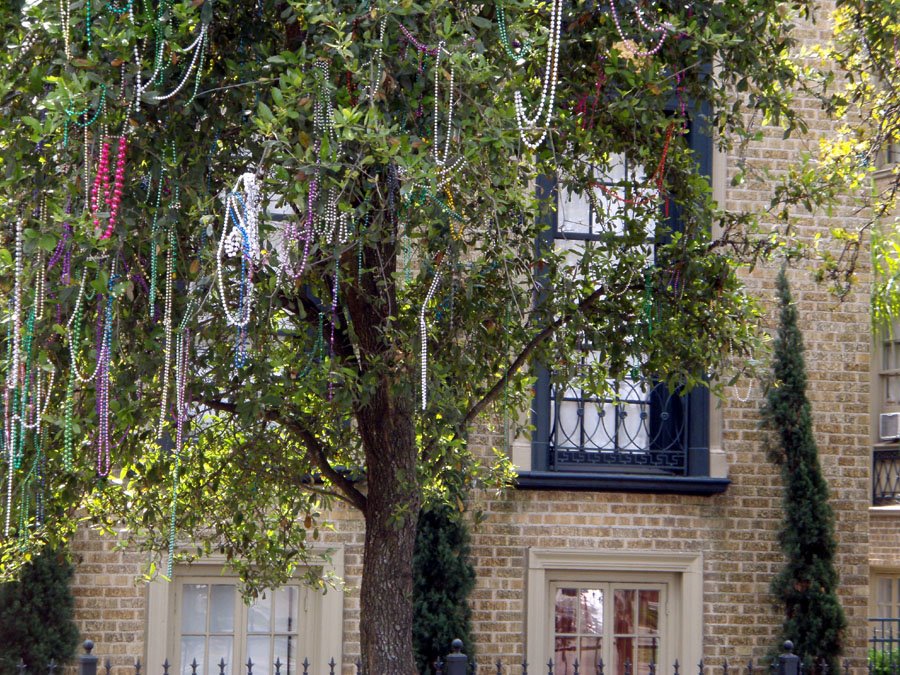 [beads+in+the+tree.jpg]