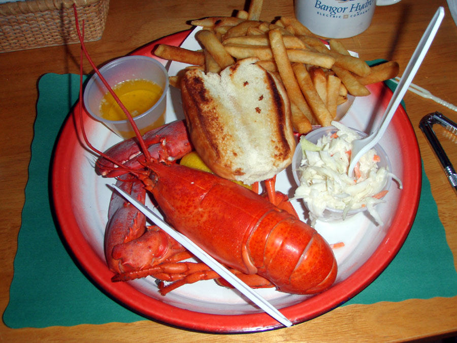 [maine+lobster.jpg]