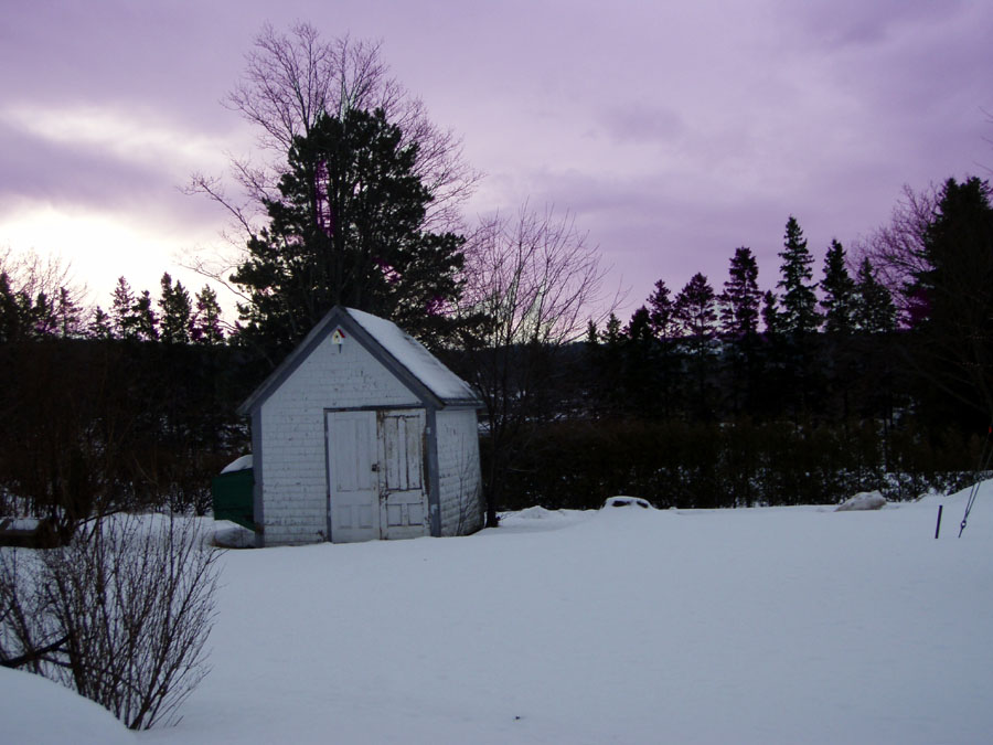 [backyard+in+the+morning.jpg]
