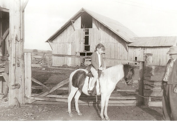 The largest of all the barns is in the background.  The horses called this barn home.