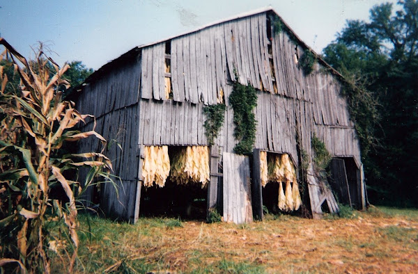 The tobacco barn is over 100 years old.