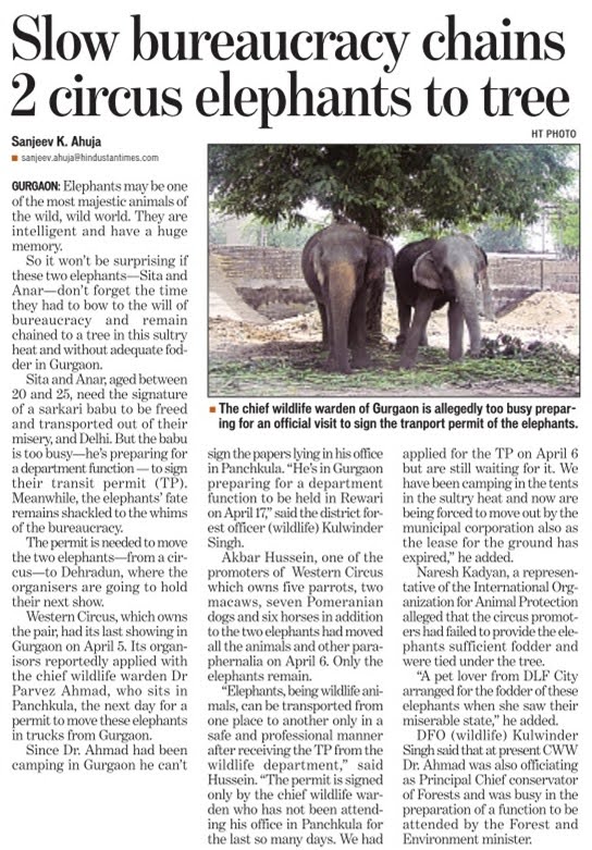 Ban Elephants abuse in circus like Indian Zoo's