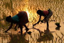 Inspiratie in Hampi