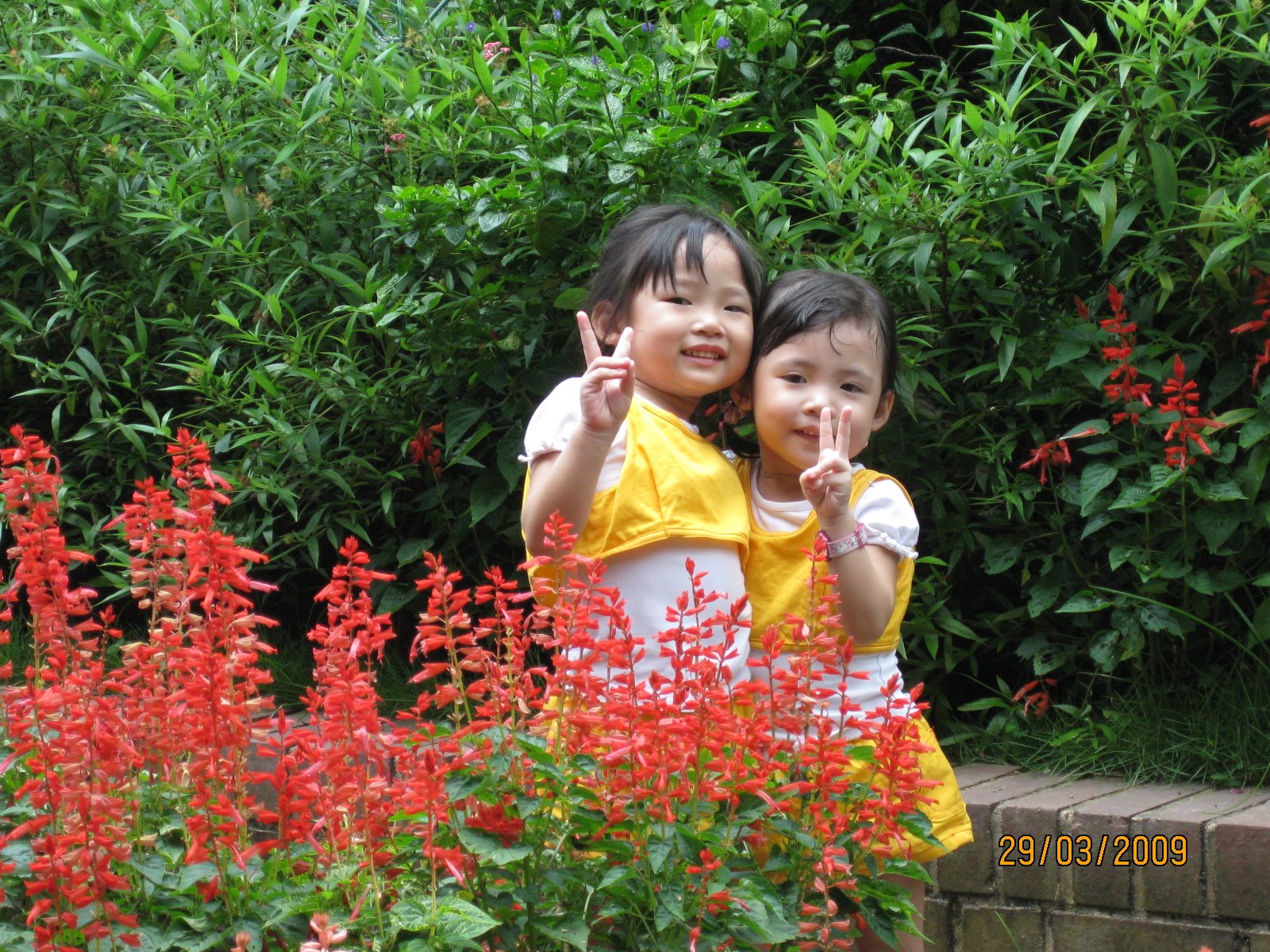[IMG_0181.JPG]