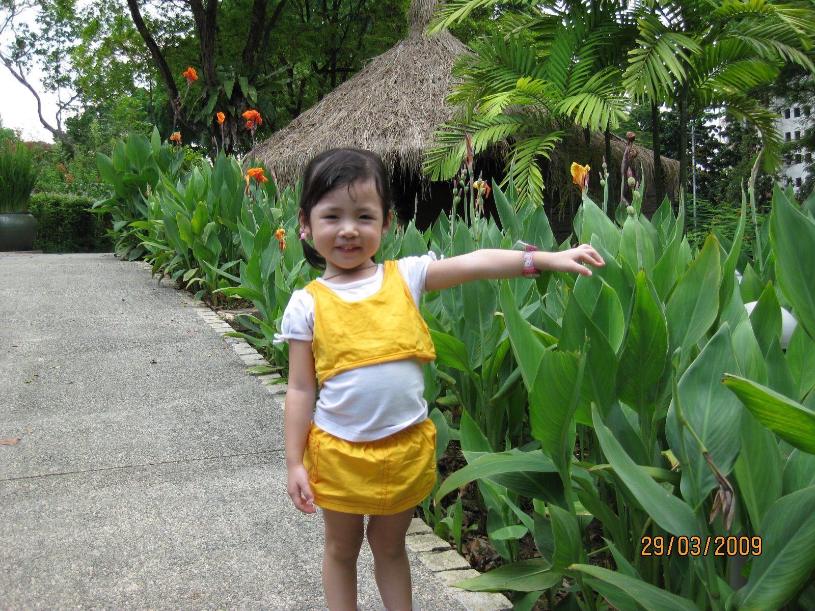 [IMG_0178.JPG]