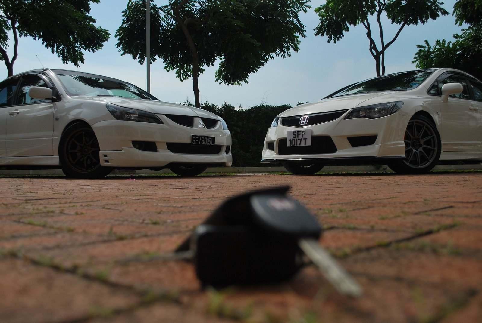 [DSC_0485.JPG]