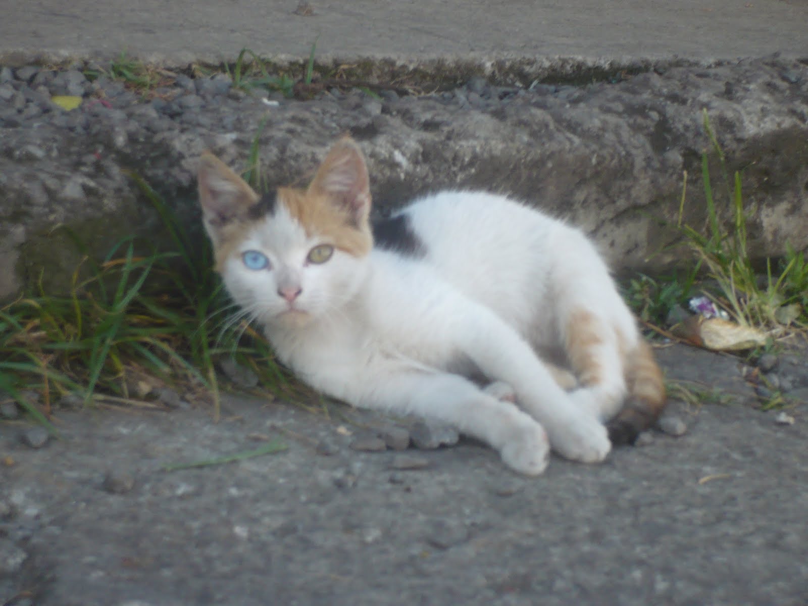 [P1030948.JPG]