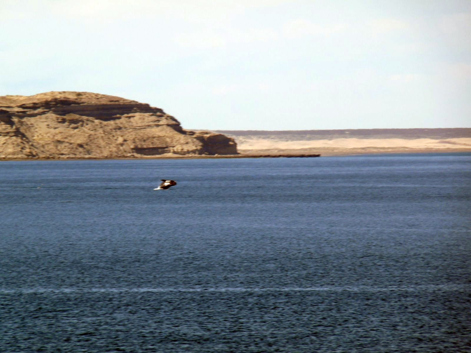 [P1010148.JPG]