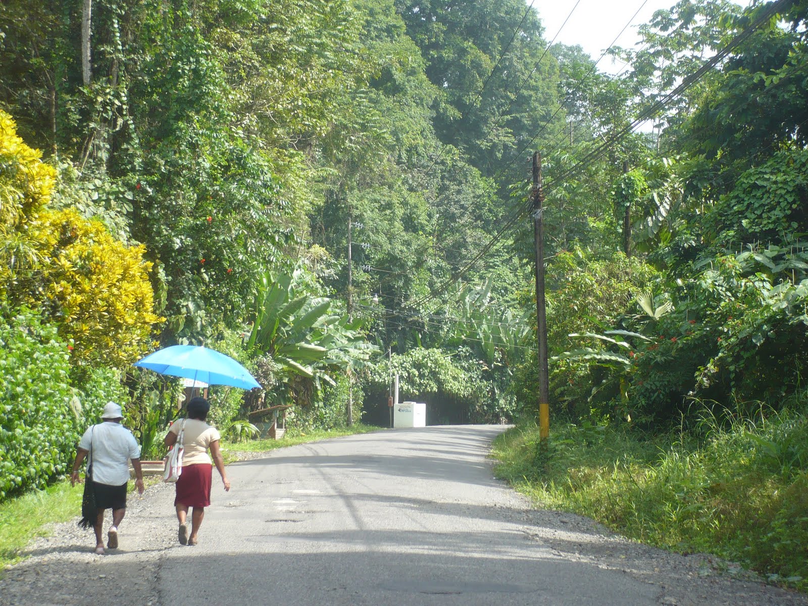 [P1030919.JPG]