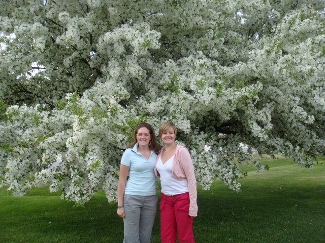 [Care+and+Nicki+and+Tree.jpg]