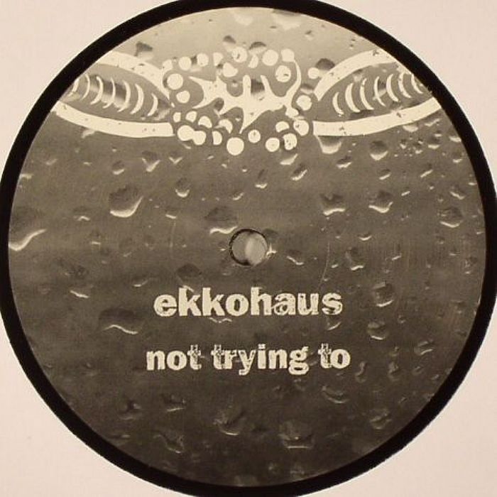 [Ekkohaus+Not+Trying+To.jpg]