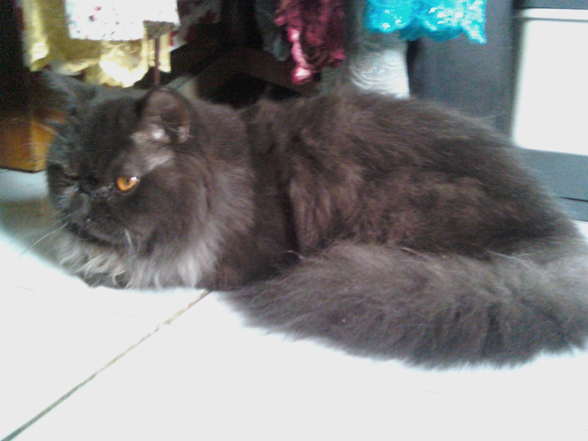 gambar makhluk halus makhluk