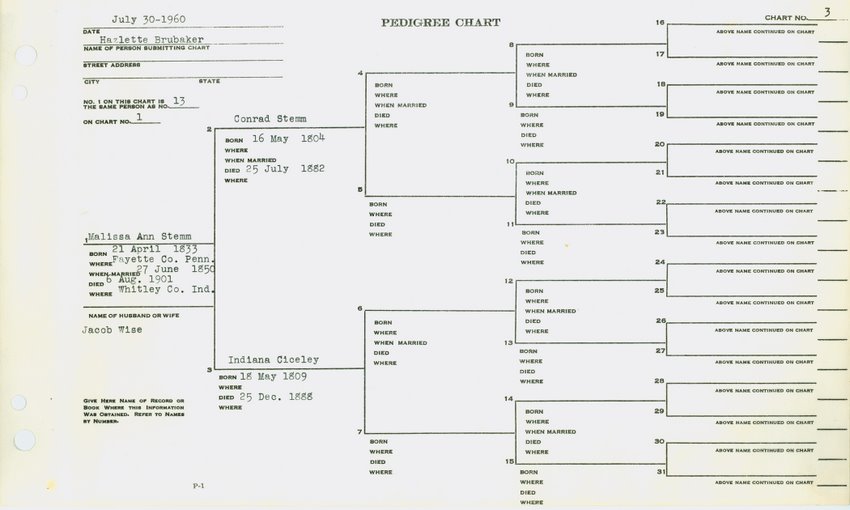 sle family tree diagram five generation pedigree chart template 28 images sle family tree diagram five generation pedigree chart template 28 images